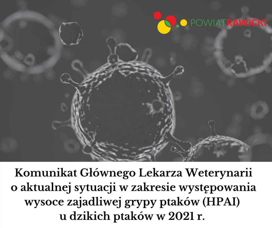 Komunikat Głównego Lekarza Weterynarii o aktualnej sytuacji w zakresie występowania wysoce zajadliwej grypy ptaków (HPAI) u dzikich ptaków w 2021 r.