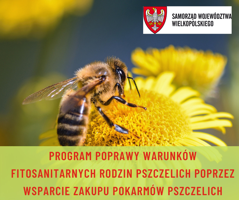 Program poprawy warunków fitosanitarnych rodzin pszczelich poprzez wsparcie zakupu pokarmów pszczelich