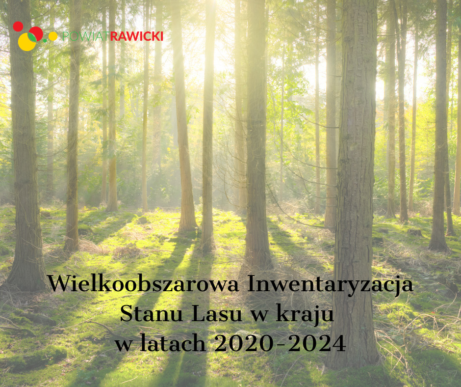 Wykonanie Wielkoobszarowej Inwentaryzacji Stanu Lasu w kraju w latach 2020-2024