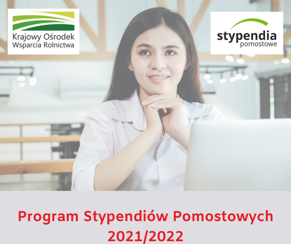 XX edycja Programu Stypendiów Pomostowych 2021/2022