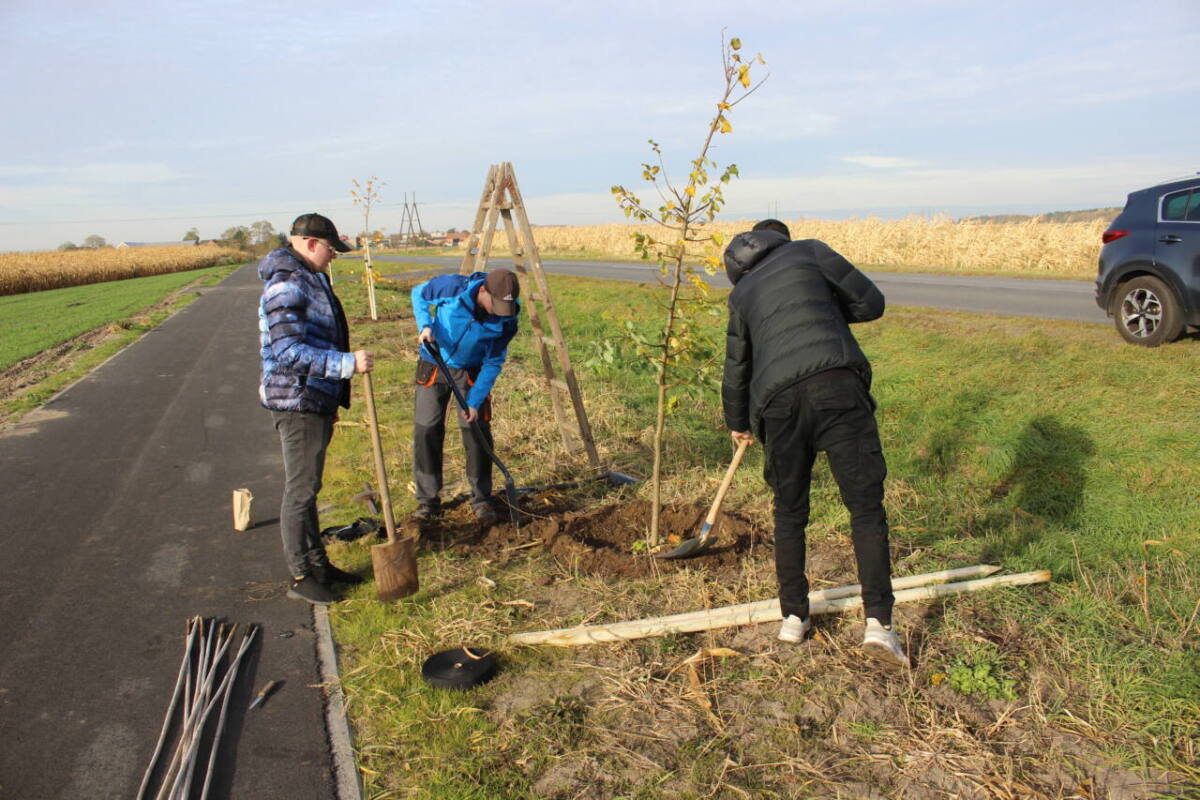 Sadzenie drzew Szymanowo - Karolinki - 27.10.2021 r. przez uvczniów ZSZ Rawicz